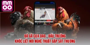 Đá Gà Cựa Dao - Đấu Trường Khốc Liệt Nơi Nghệ Thuật Gặp Sát Thương