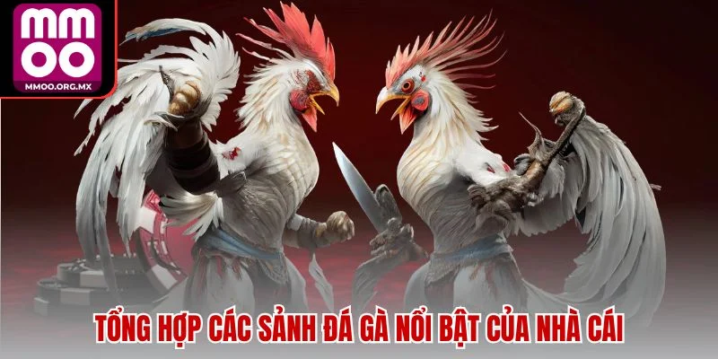 Tổng hợp các sảnh đá gà nổi bật của nhà cái Tổng hợp các sảnh đá gà nổi bật của nhà cái