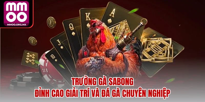 Trường Gà Sabong – Đỉnh Cao Giải Trí và Đá Gà Chuyên Nghiệp